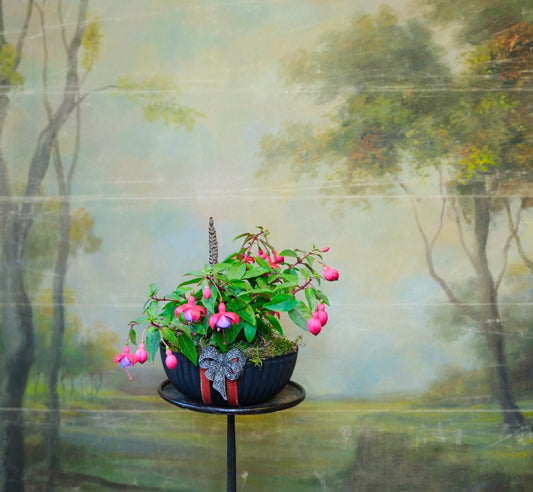 Bol Ondas con planta de temporada y broche