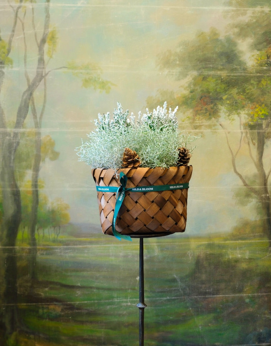 Cesta Oslo M con cipreses nevados y arbustos plateados