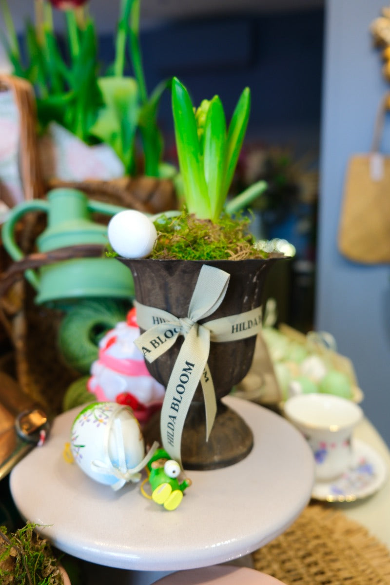 Copa Garden con bulbo de jacinto y huevo de pascua