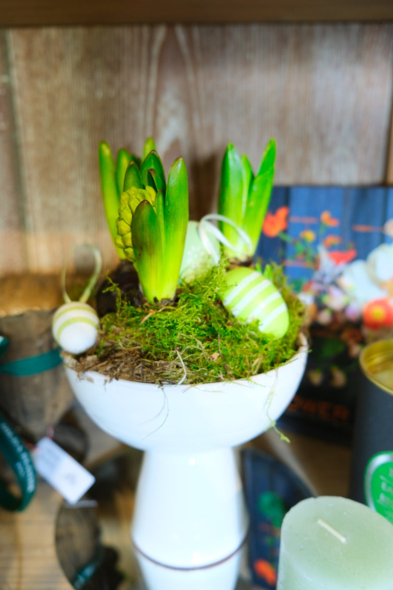 Copa Portofino con bulbos y huevos de pascua