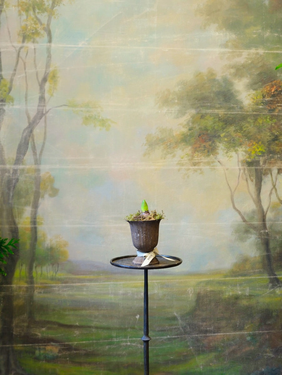 Copa Garden con planta de temporada