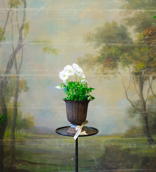 Copa Garden con planta de temporada