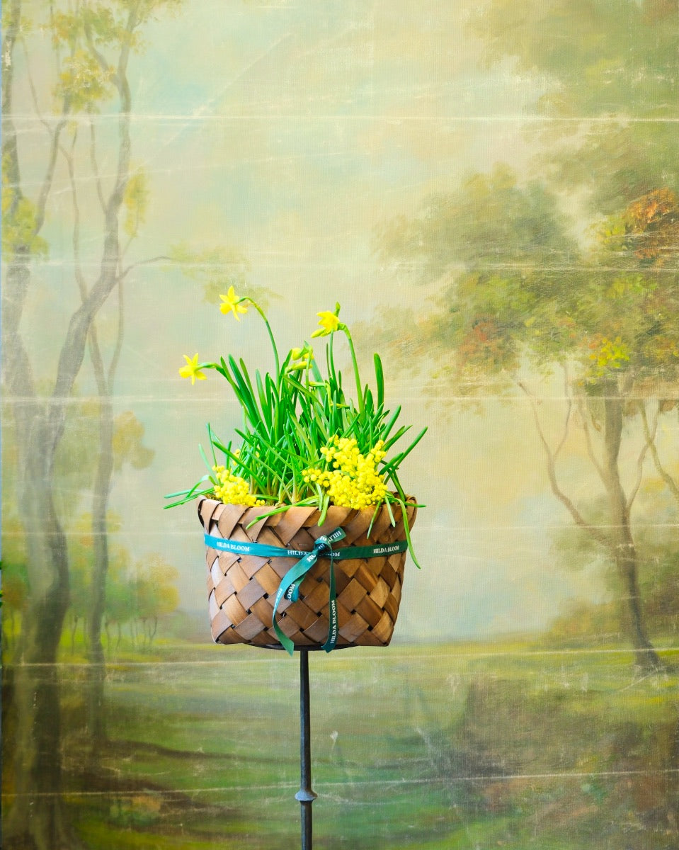 Cesta Oslo M con bulbos de temporada