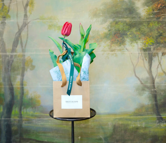 Planta de temporada en bolsa