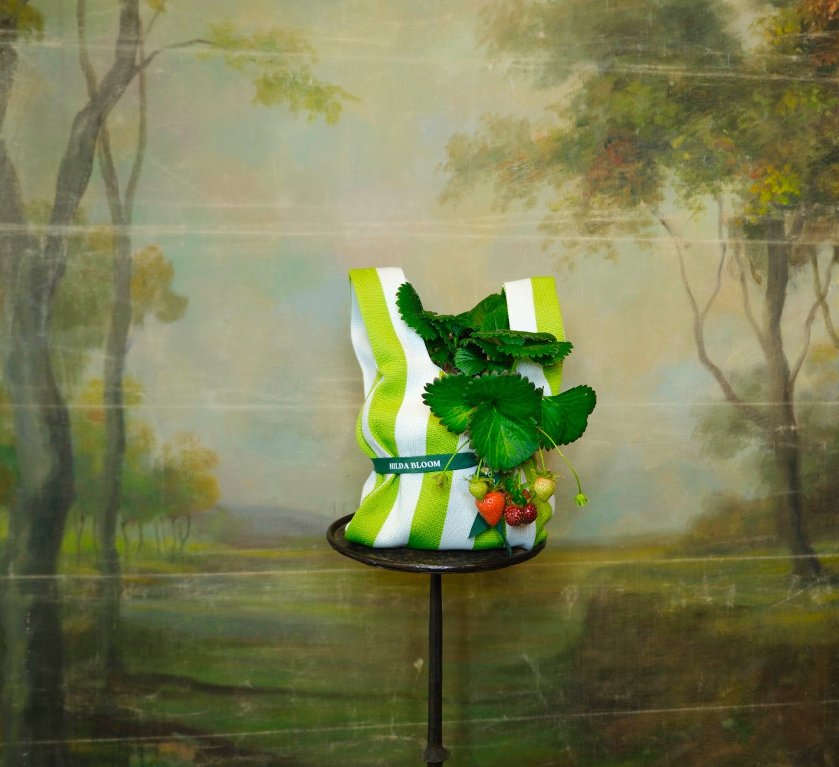 Planta de temporada en bolsa