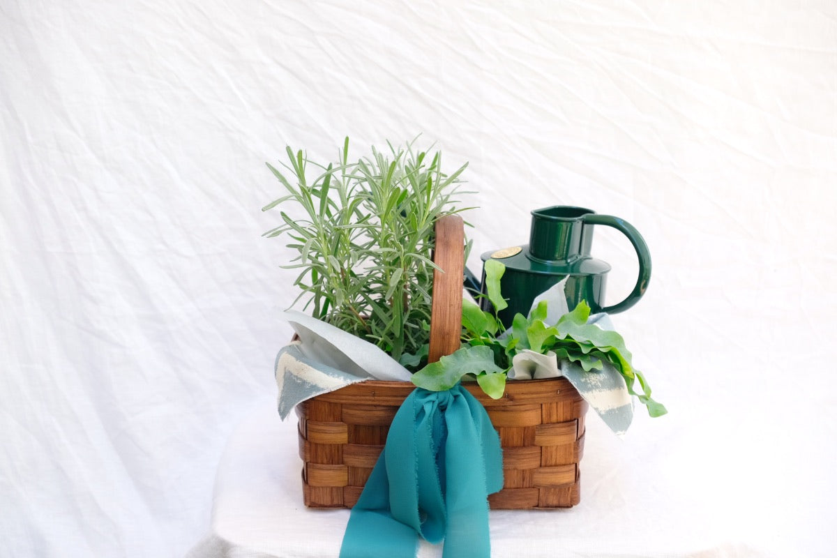Cesta Mr. Gardener