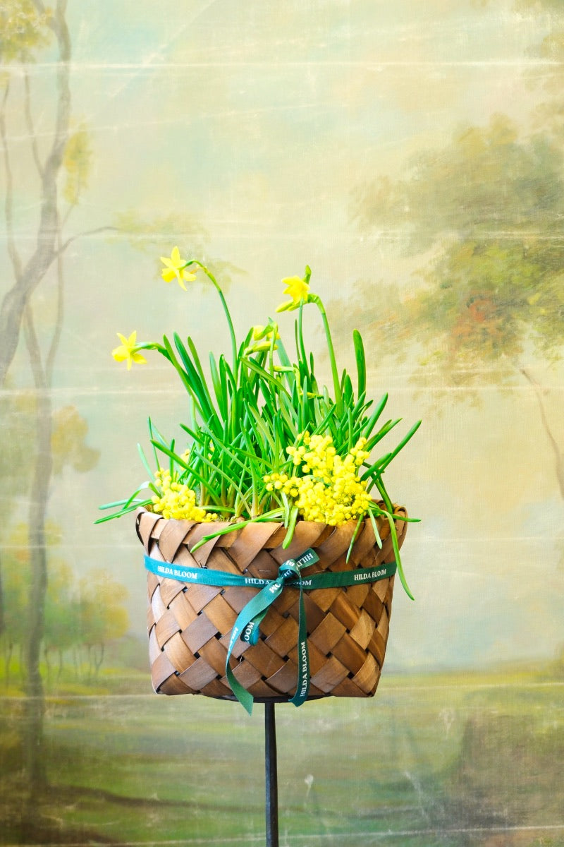 Cesta Oslo M con bulbos de temporada