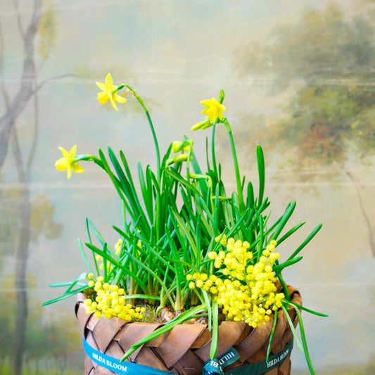 Cesta Oslo M con bulbos de temporada