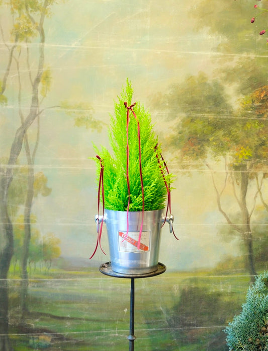 Champanera con ciprés y lazos