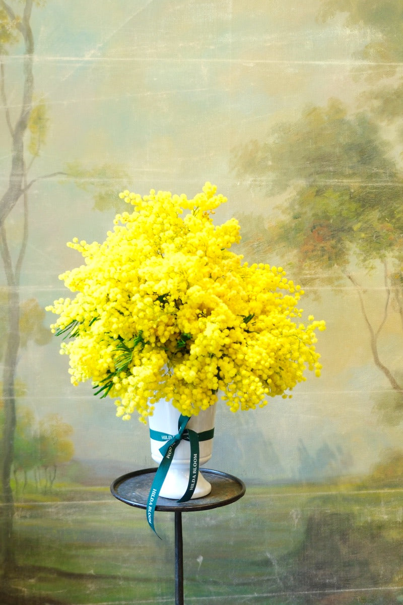 Copa Sissi con mimosa