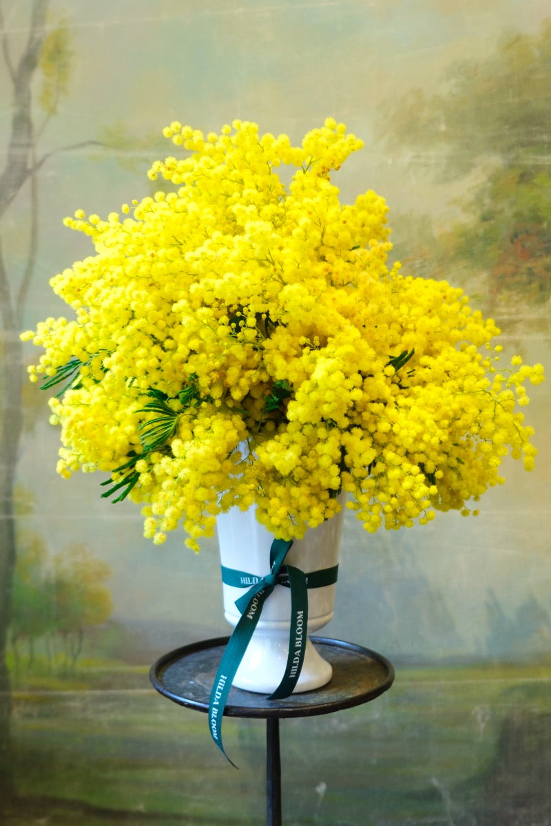 Copa Sissi con mimosa