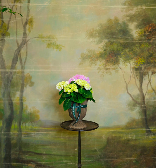 Copa Garden M con Hortensias