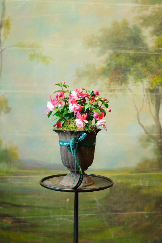 Copa Garden con planta