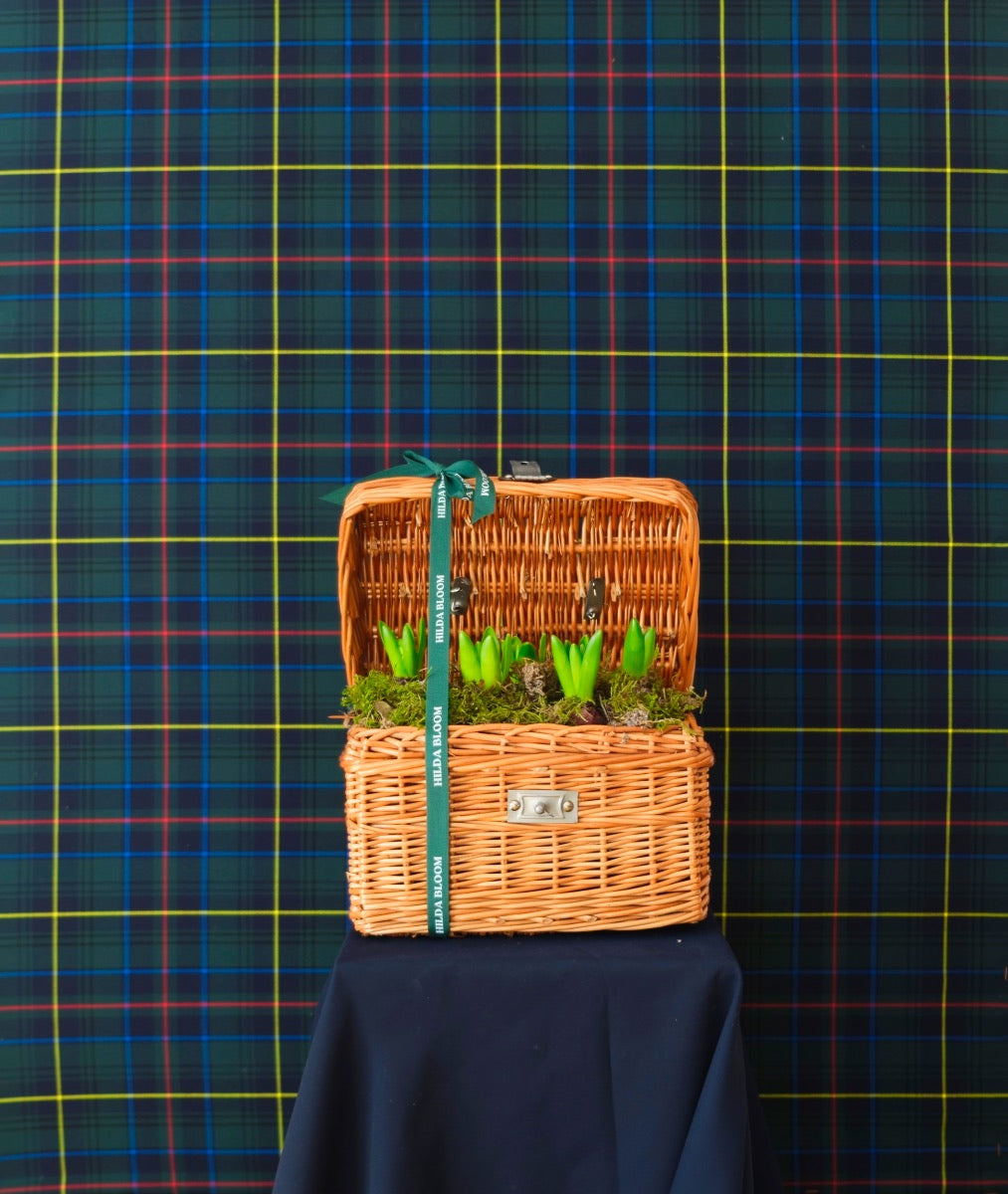 Hamper con bulbos