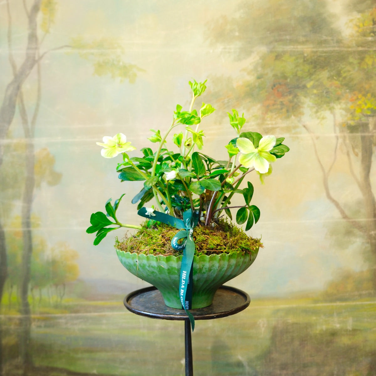 Copa Ondas con planta de temporada