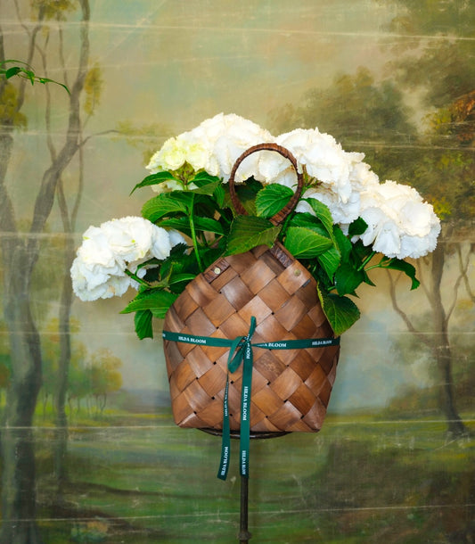 Cesta Alpes con hortensia