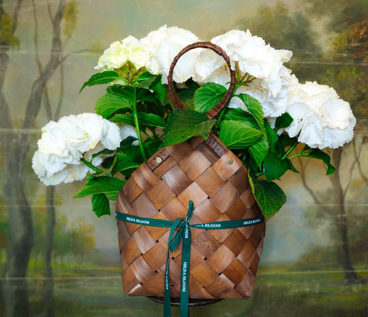 Cesta Alpes con hortensia