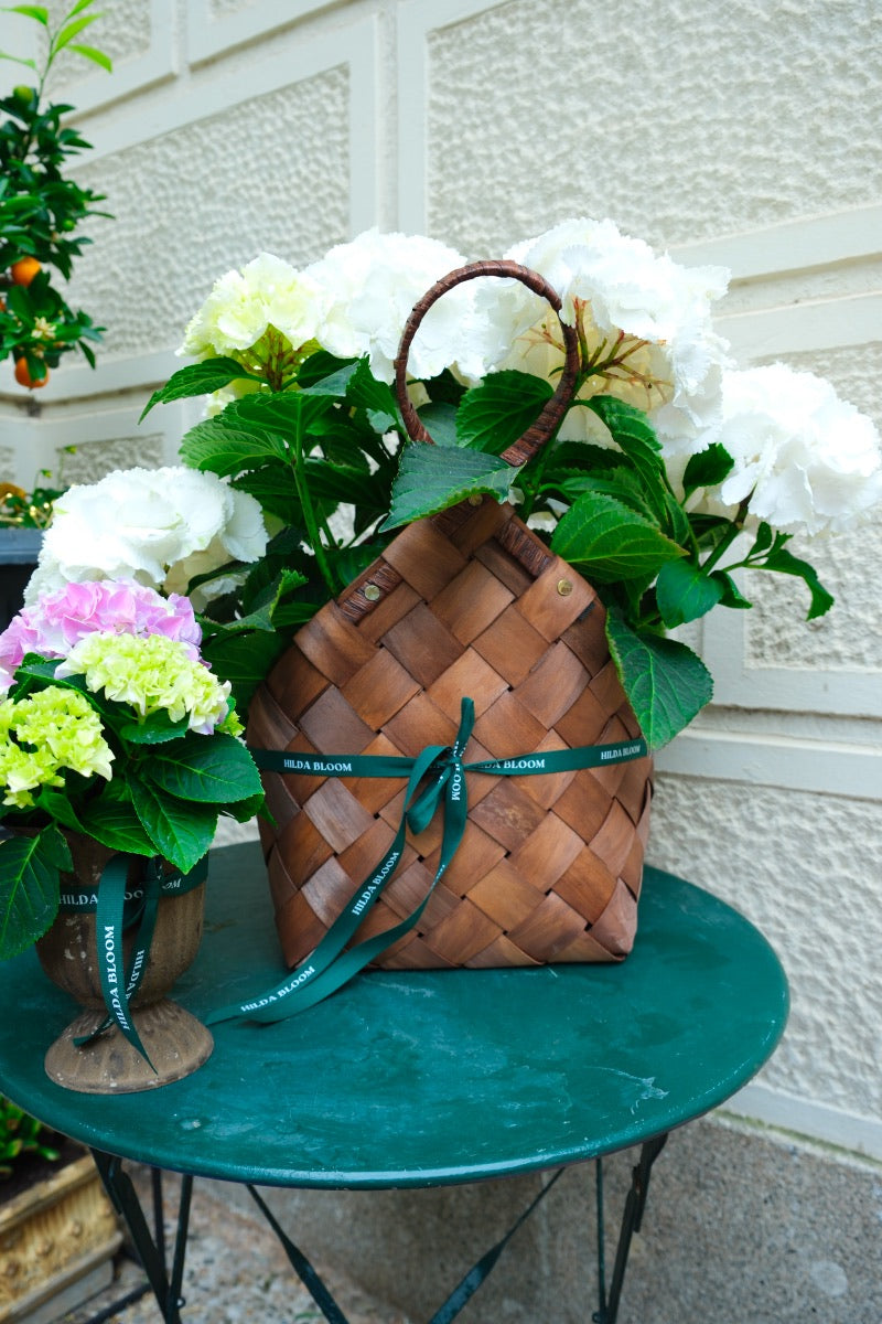 Cesta Alpes con hortensia
