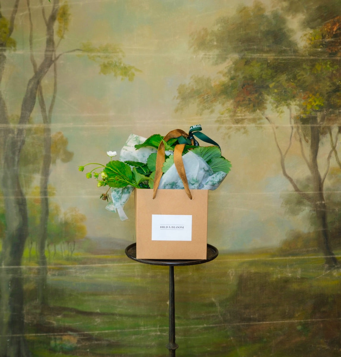 Planta de temporada en bolsa