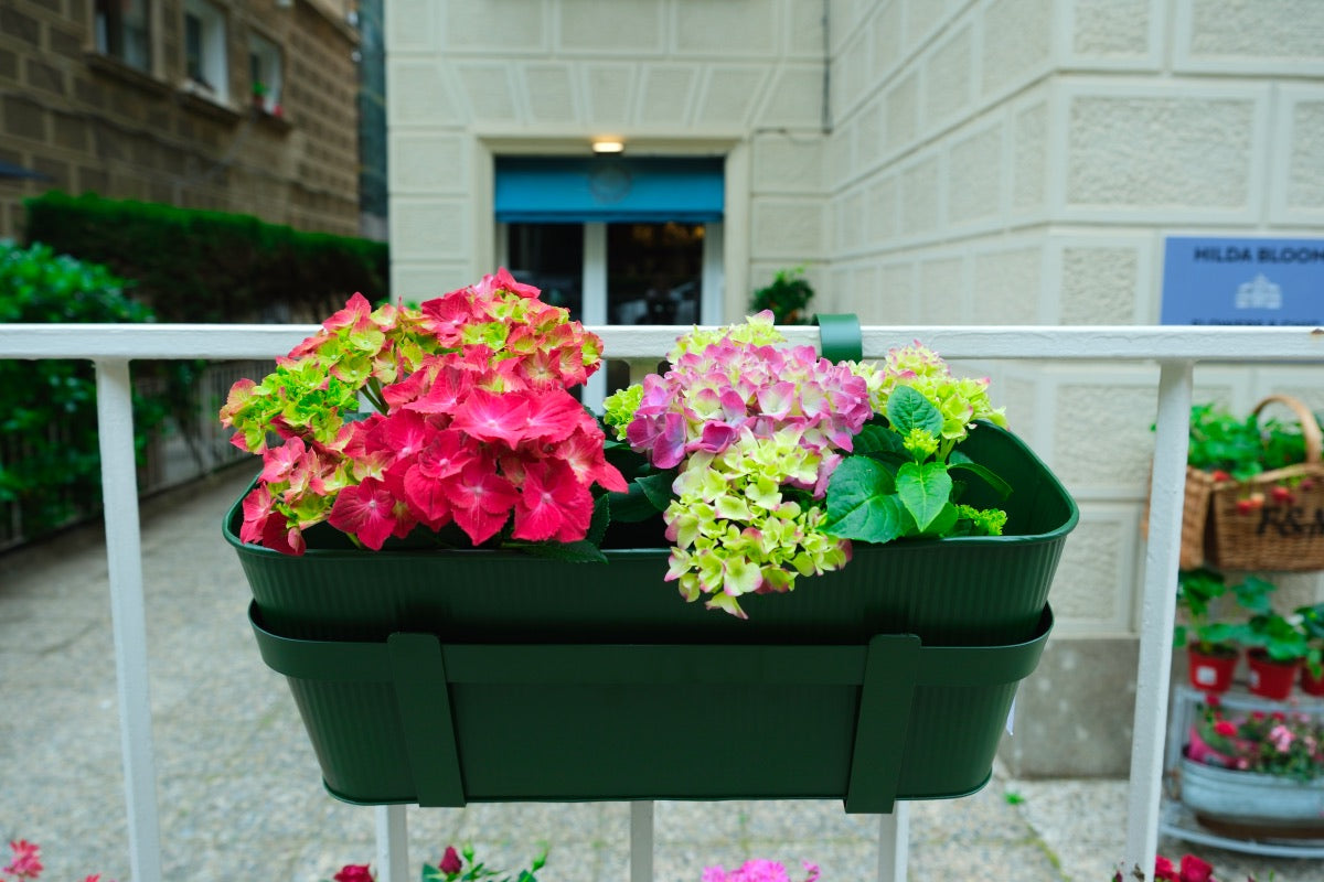 Jardinera