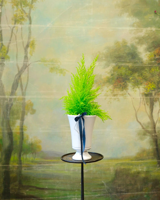 Jarrón Sissi con ciprés