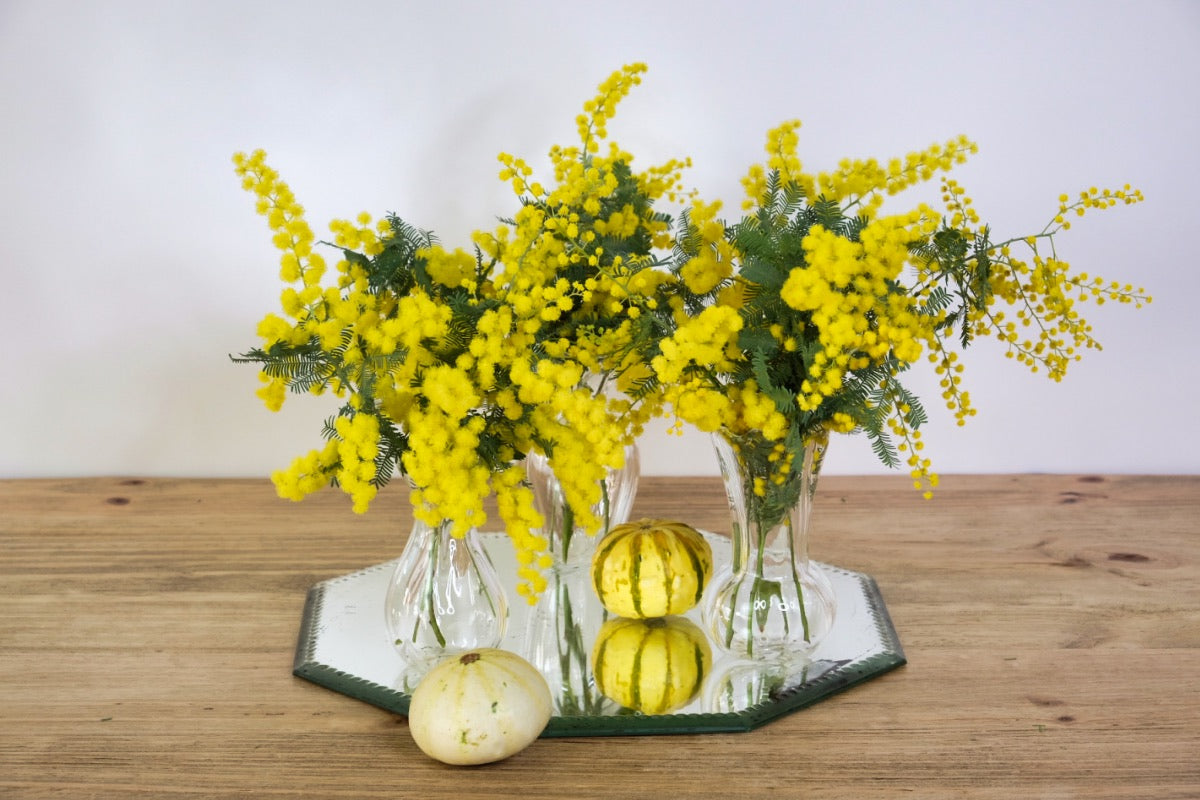 Mini jarrones con mimosa